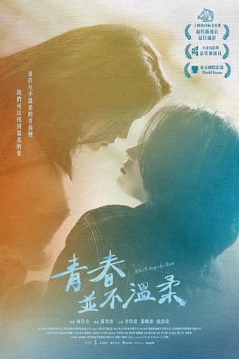 青春并不温柔海报