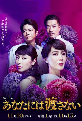 我不会让给你海报