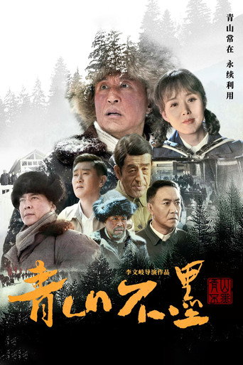 青山不墨海报
