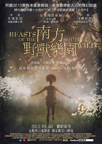 南国野兽海报