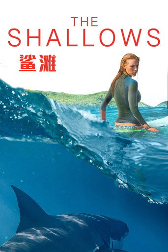 鲨滩海报