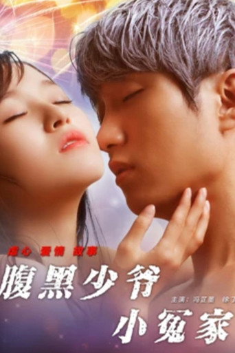 腹黑少爷小冤家海报