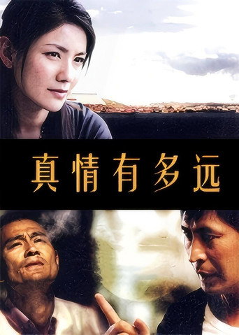 真情有多远海报