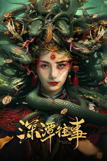 深潭往事海报