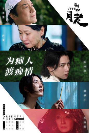寻找1999的月老海报
