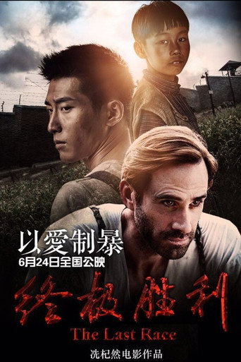 终极胜利海报