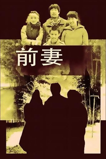 前妻海报