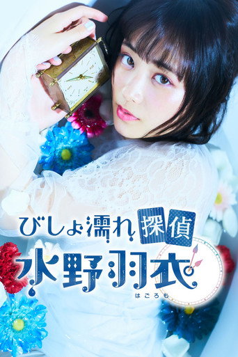 湿身侦探水野羽衣海报