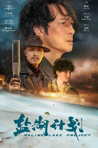 盐湖计划海报