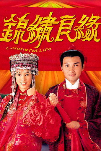 锦绣良缘海报
