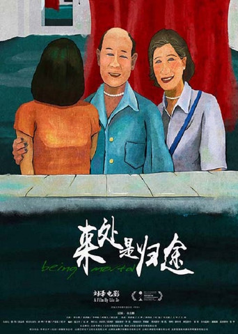 来处是归途海报