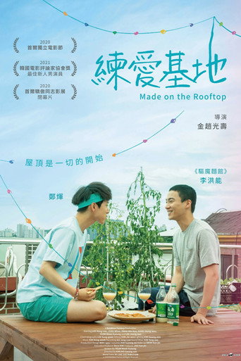 屋顶恋歌海报