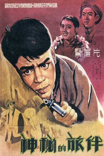 神秘的旅伴海报