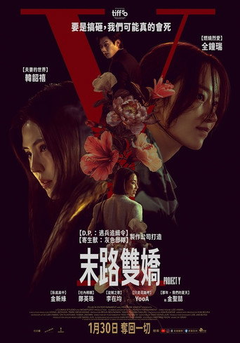 Y计划海报