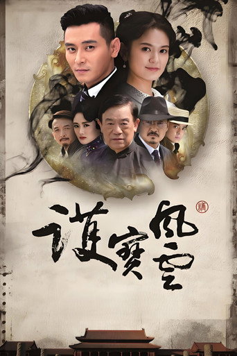 护宝风云海报