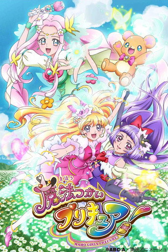 魔法使光之美少女！海报
