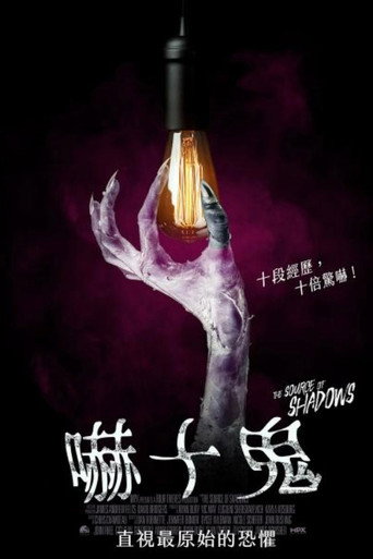 阴影之源海报