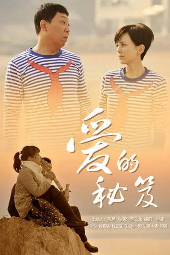 爱的秘笈海报