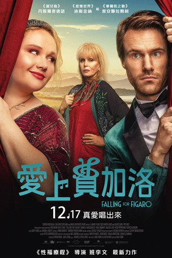 爱上费加罗海报