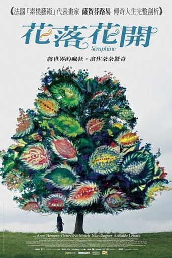 花落花开海报