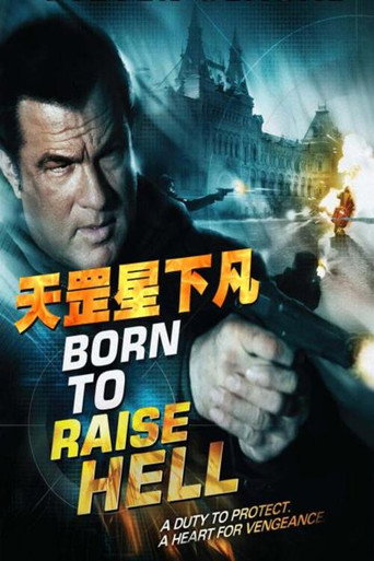 天罡星下凡海报