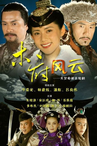 木府风云海报