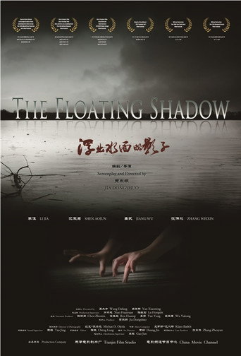 浮出水面的影子海报