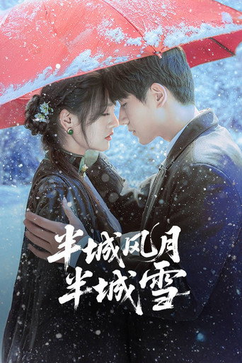 半城风月半城雪海报
