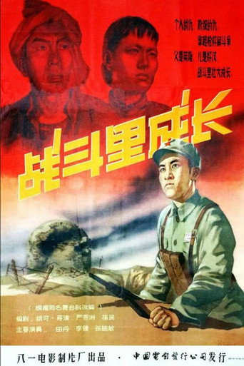 战斗里成长海报