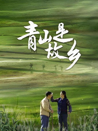 青山是故乡海报