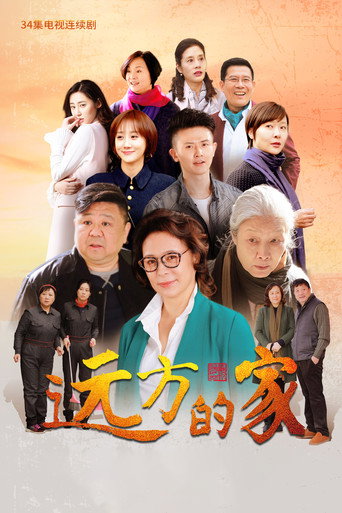 远方的家海报