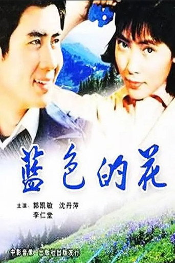 蓝色的花海报