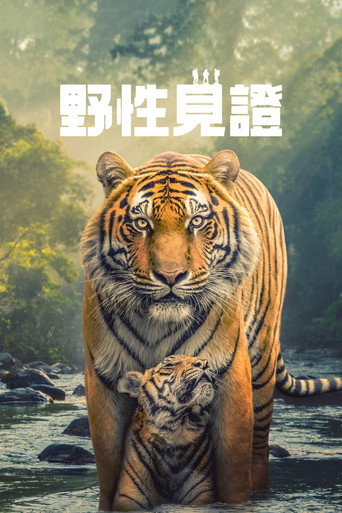 野性生灵海报