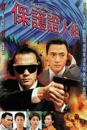 保护证人组海报