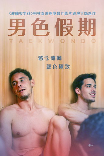 跆拳道海报