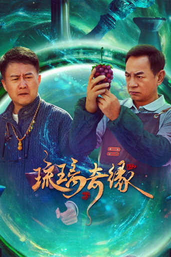 琉璃奇缘海报