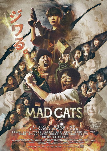 猫无赦海报
