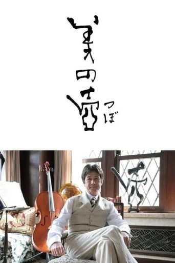 美之壶海报