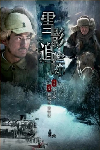 雪影追踪海报