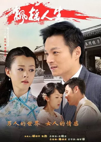 飘摇人生海报