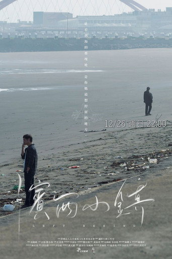 滨西小镇海报