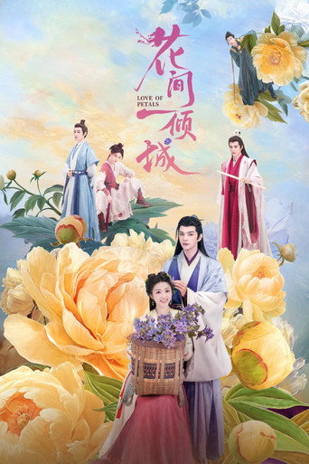 花间一倾城海报