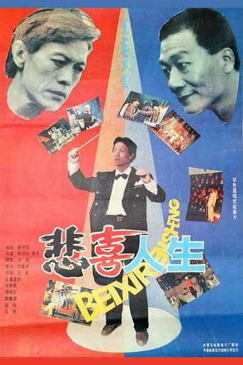 悲喜人生海报