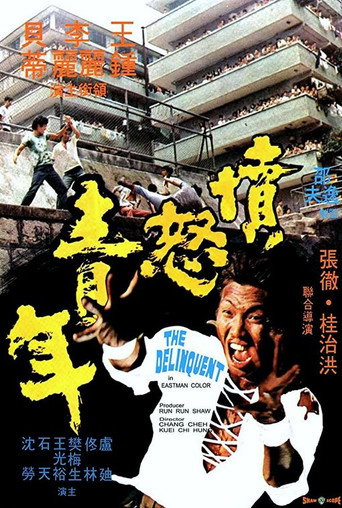 愤怒青年海报