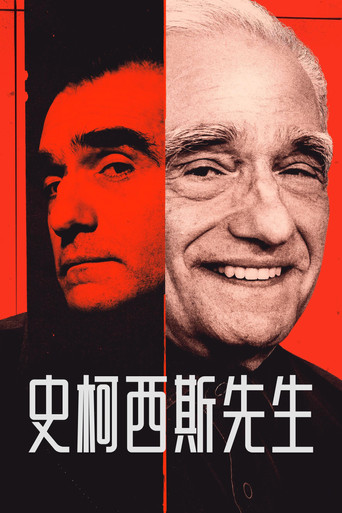 斯科塞斯先生海报
