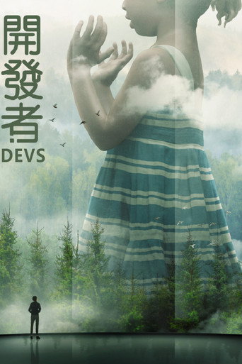 开发者海报