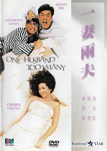 一妻两夫海报