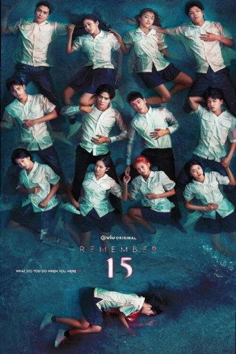 记得15海报