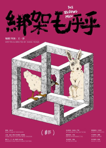 绑架毛乎乎海报