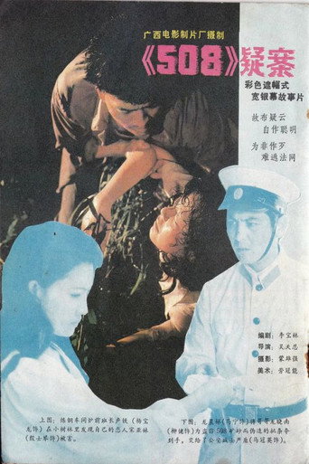 508疑案海报